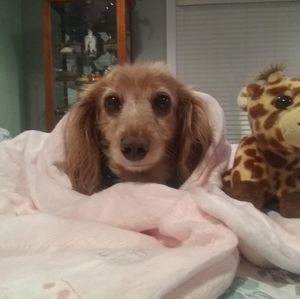 Meet your Posher, Cathy